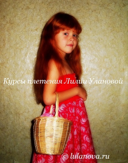 coș Weave (țesut) Basketry