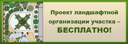 Ziduri în companie ordine din Moscova fermel (firmă) Ziduri în compania ordine fermel la Moscova