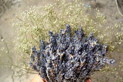 meșteșugurile naturale (Compoziția de flori uscate într-o clasă de corn de master) meșteșugurile naturale