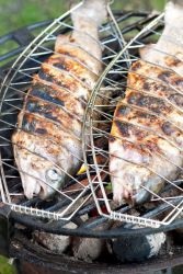 Peste pe zăbrele pe grătar (zăbrele) Peste pe gratar pe gratar