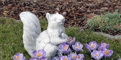 figurine de grădină la cabana lor de vară în grădină, cu propriile sale mâini, idei (gradina) figurine de grădină la cabana lor de vară în grădină cu mâinile propriile sale idei,