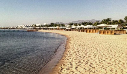 Safaga, Egipt Toate vacanta cu copii in Safaga pe portalul kidpassazh (REN) Safaga, Egipt Toate vacanta cu copii in Safaga pe portalul kidpassazh