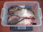 Pike și crap (izidri) Pike și crap