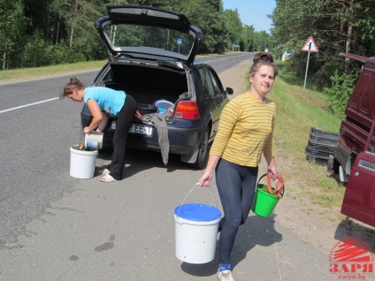 Cât de mult puteți câștiga în colectarea de știri de afine - zori - portalul de informații din regiunea Brest (Brest News) Cât de mult puteți câștiga în colectarea de știri de afine - zori - portalul de informații al regiunii Brest