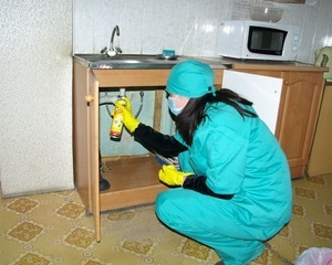 Mijloace de combatere a gândacilor decât gândacii de bucătărie otravă într-un apartament pe propriile lor medicamente, eficiente (mijloace) Mijloace de combatere a gândacilor decât gândacii de bucătărie otravă într-un apartament pe propriile lor droguri, eficiente