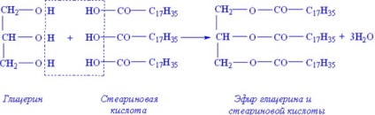 componente lipidice structurale (acizi grași superiori) componente lipidice structurale