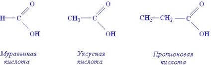 Componentele lipidice structurale (acizi compoziția sa) componente lipidice structurale