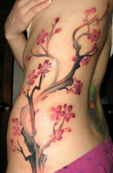 Sakura Tattoo - ceea ce înseamnă schițe tatuaj și fotografii (Sakura) Sakura Tattoo - design valoare tatuaj și fotografii