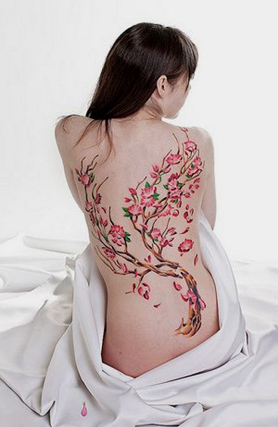 Sakura Tattoo - ceea ce înseamnă schițe tatuaj și fotografii (tatuaj) Sakura Tattoo - design valoare tatuaj și fotografii