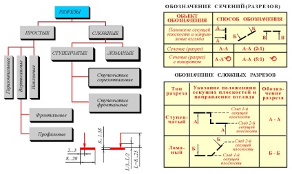 Tipuri de incizii - studopediya (plane de proiecție orizontală) Tipurile de incizii - studopediya