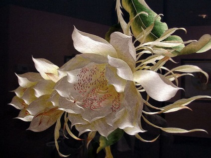 Convențional broderie Suzhou (broderie Suzhou) broderie tradițională Suzhou