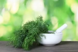 ulei de mărar și alfabetul ei bune de sănătate (mărar) ulei de mărar și alfabetul ei stare bună de sănătate