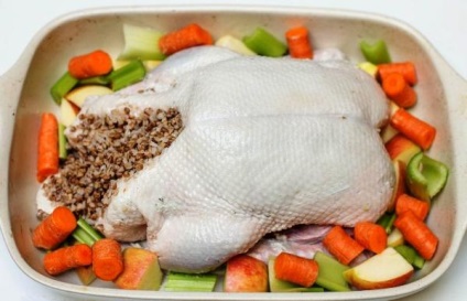 Duck umplute cu hrișcă (bătătură) Duck umplute cu hrișcă