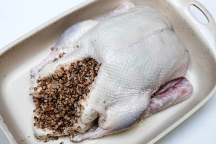 Duck umplute cu hrișcă (bătătură) Duck umplute cu hrișcă