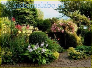 În ce scop se utilizează bluestone în grădinărit și acasă (grădinărit) În ce scop se utilizează bluestone în grădinărit și acasă
