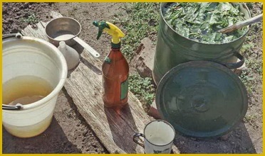 În ce scop se utilizează bluestone în grădinărit și acasă (gazon) În ce scop se utilizează bluestone în grădinărit și acasă