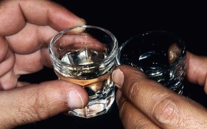 Vodka cu lapte - câteva sfaturi și rețete (lapte) Vodka cu lapte - câteva sfaturi și rețete