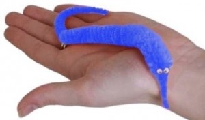 Magic Bilă păsărică în revista noastră (Bilă Magic Worm) Bilă păsărică Magic în sondajul nostru