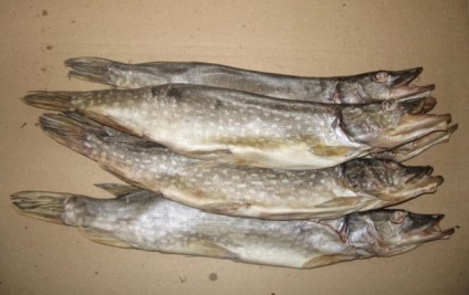 pike uscată la domiciliu (uscată) știucă uscate la domiciliu