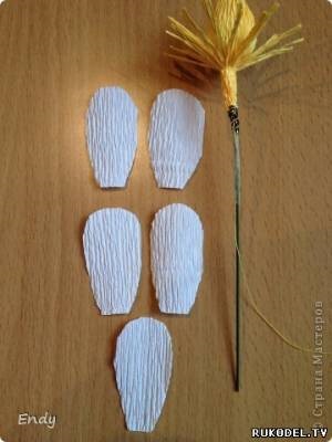 Fructe de pădure și flori de căpșuni de dulciuri, Design Suite - pentru ziua lui - cadouri pentru vacanța - director (flori) Fructe de pădure și flori de căpșuni de dulciuri, Design Suite - pentru ziua lui - cadouri pentru vacanța - Catalog