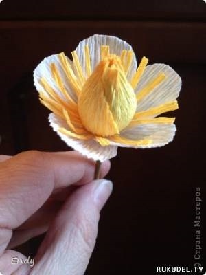 Fructe de pădure și flori de căpșuni de dulciuri, Design Suite - pentru ziua lui - cadouri pentru vacanța - catalog (boabe) Fructe de pădure și flori de căpșuni de dulciuri, Design Suite - pentru ziua lui - cadouri pentru vacanța - Catalog