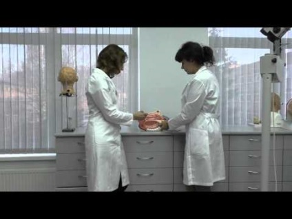 Procedura YAMIK pentru sinus scop particular si contraindicatii la tratament (tratament) Procedura YAMIK pentru sinus scop particular și contraindicații la tratamentul