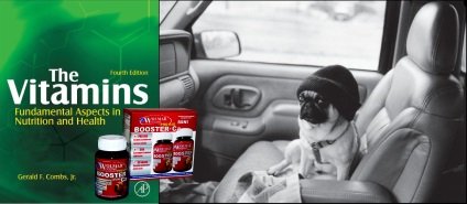Boala și recomandări pentru pug (boli și sfaturi pentru un pug) Boala și recomandări pentru pug