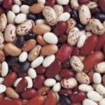 Scorpie pentru a distruge dăunătorii de grădină (dăunătorilor) Scorpie în grădină cum să distrugă dăunătorului