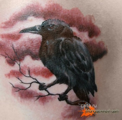 Înțeles tatuaje Corb - poze tatuaj (tatuaje valoare ciori) Semnificație corb tatuaj - poze tatuaj