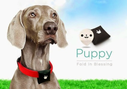 10 Gadgets pentru câini, o varietate de proiectare (Microchip activat Petfeeder) 10 gadget-uri pentru câini, diversitate de design