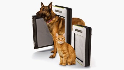 10 Gadgets pentru câini, o varietate de proiectare (Microchip activat Petfeeder) 10 gadget-uri pentru câini, diversitate de design