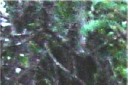 10 Paranormal Contemporan (paranormal) 10 Paranormal Contemporană
