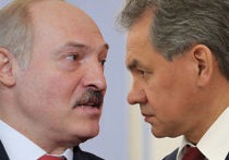 AFN, ediția, The New York Times - tot ceea ce este demn de traducere () AFN, ediția, The New York Times - tot ceea ce este demn de traducere