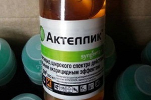 Aktellik instrucțiuni de utilizare (aktellik instrucțiuni de utilizare) houseplants manualul de instrucțiuni Aktellik