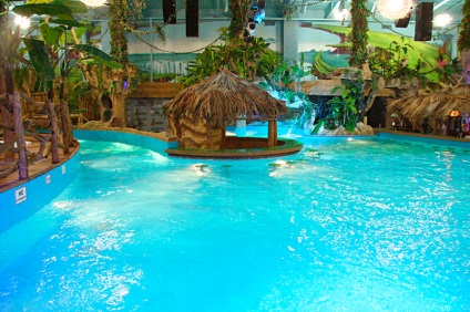 Waterpark vis Town în Kiev - «vis insulă» (insulă) Waterpark vis Town în Kiev - «vis insulă»