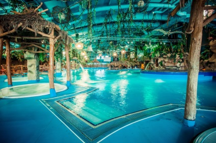 Waterpark vis Town în Kiev - «vis insulă» (Kiev) Waterpark vis Town în Kiev - «vis insulă»
