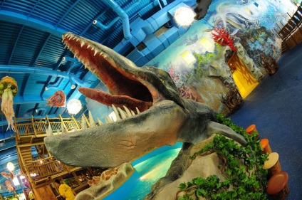 Waterpark vis Town în Kiev - «vis insulă» (vis) Waterpark vis Town în Kiev - «vis insulă»