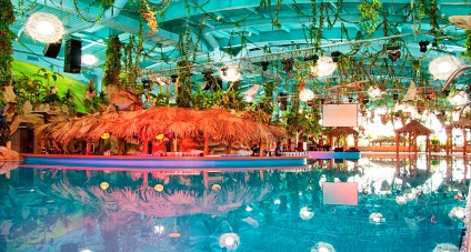Waterpark vis Town în Kiev - «vis insulă» (parc acvatic) Waterpark vis Town în Kiev - «vis insulă»