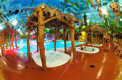 Waterpark vis Town în Kiev - «vis insulă» (insulă) Waterpark vis Town în Kiev - «vis insulă»