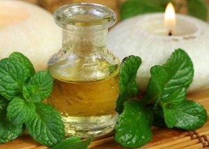 tinctură alcoolică de ierburi și alcool la domiciliu (tinctura) tinctură alcoolică de ierburi și alcool la domiciliu