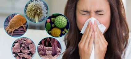 Alergia la domiciliu, clădire, praf de lemn - simptome, tratament (construcții) Alergia la domiciliu, clădire, praf de lemn - simptome, tratament