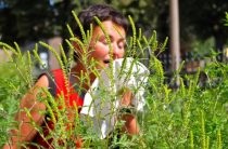Allergy tratament manifestare a genelor adeziv (creștere) Alergica la gene lipici manifestare, tratament