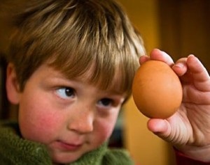 Alergia la pui simptomelor si tratamentul copilului (copil) Alergia la pui simptomelor si tratamentul copilului