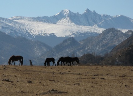 Munții Altai - descriere frumoasă și fotografii (imagini) Muntii Altai - descriere și fotografii frumoase