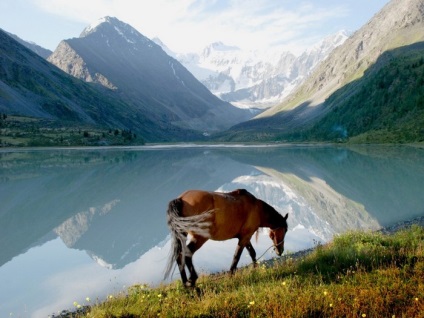 Munții Altai - descriere frumoasă și fotografii (imagini) Muntii Altai - descriere și fotografii frumoase