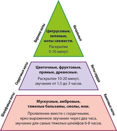 Armelle-ru - răspunsuri la întrebări