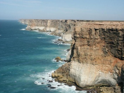Australian mare descriere bay, fotografii (Bay) Australian descriere mare de dafin, fotografii