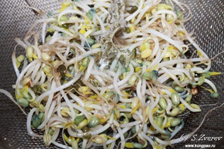 Laksa asiatice supa de curry (Laksa lemak), bucătăria malaeziene rețete (Lax) Laksa asiatice supa de curry (Laksa lemak), bucătărie malaiezian rețete