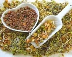Suplimentele NSP alergie Bad (intestinului acasă) Suplimentele NSP alergie Bad
