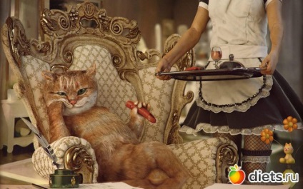 Pussycat și femei (femei) Pussycat și pentru femei